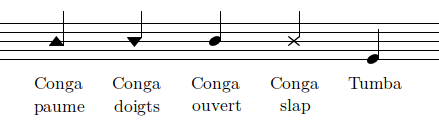 Nomenclature (congas)